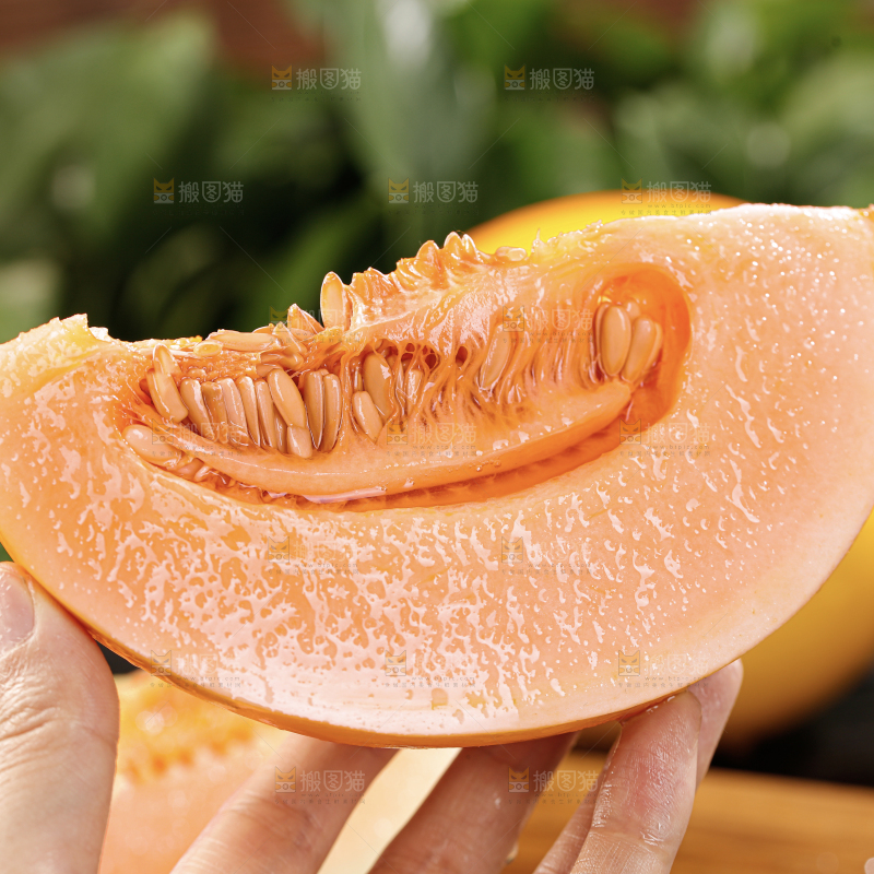 黄河蜜瓜