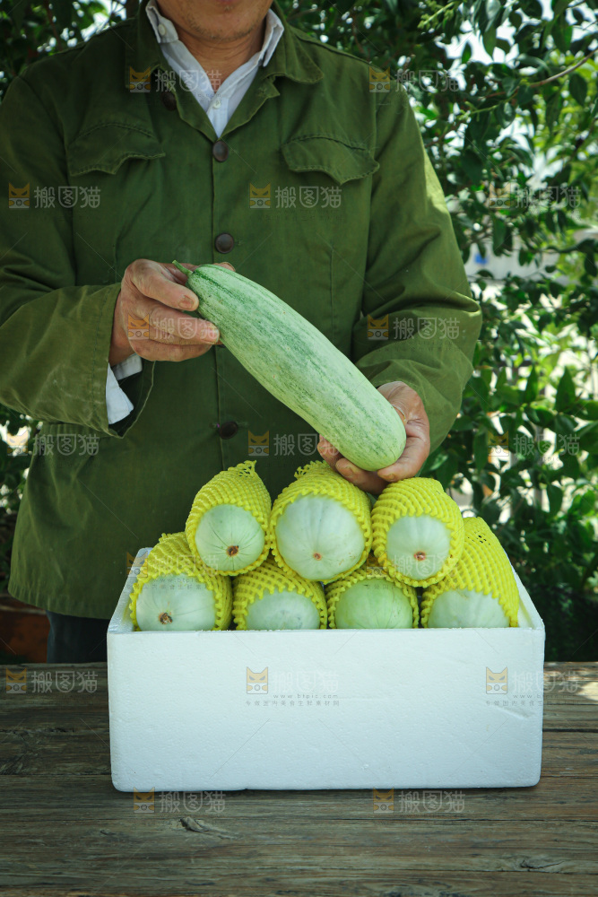 羊角蜜甜瓜