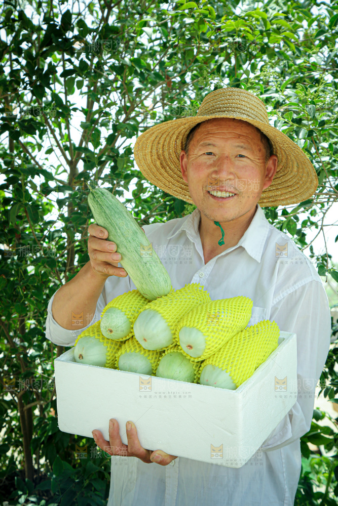 羊角蜜甜瓜
