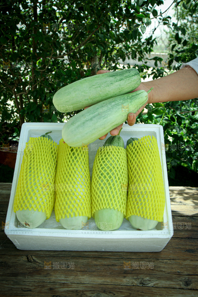 羊角蜜甜瓜