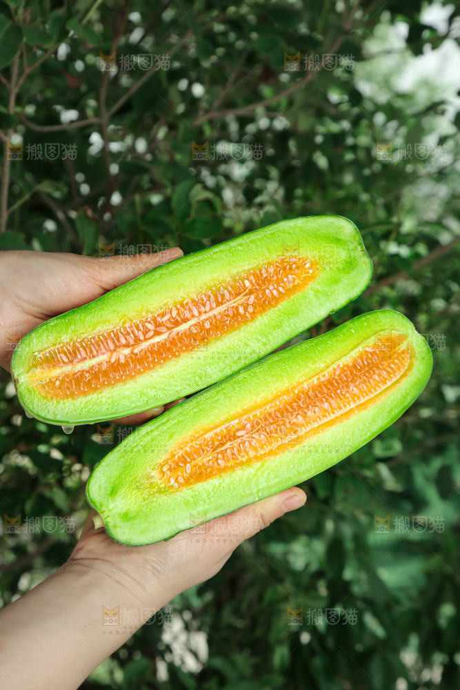 羊角蜜甜瓜