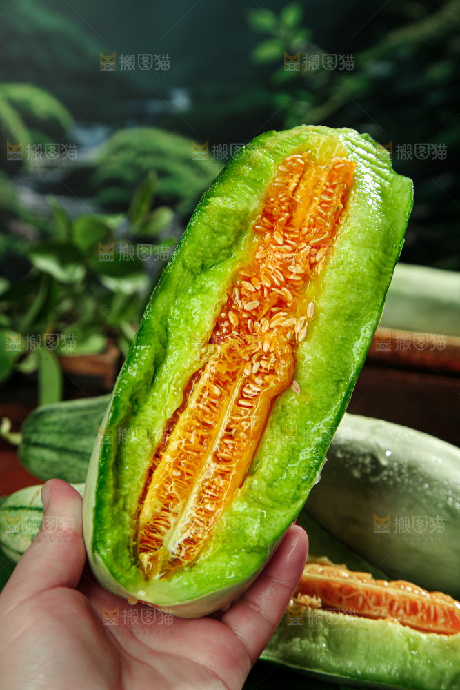 羊角蜜甜瓜