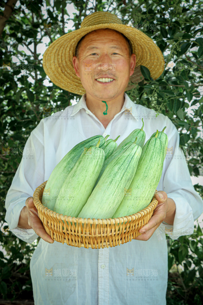 羊角蜜甜瓜