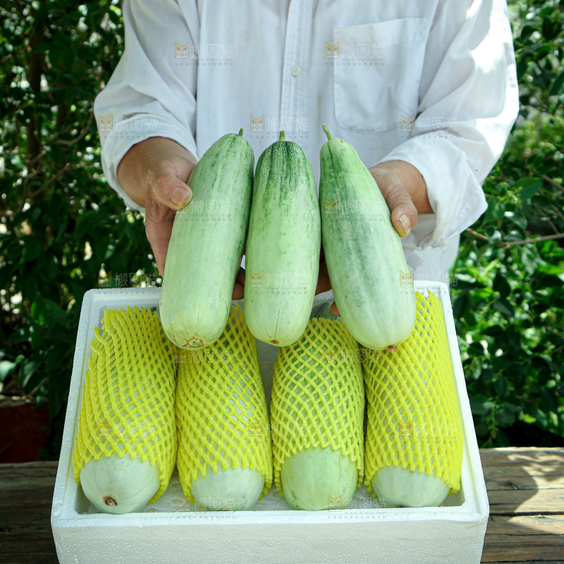 羊角蜜甜瓜