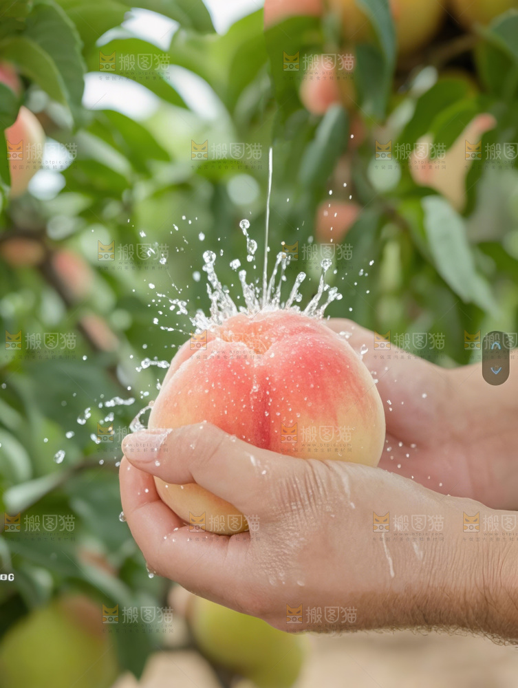 水蜜桃