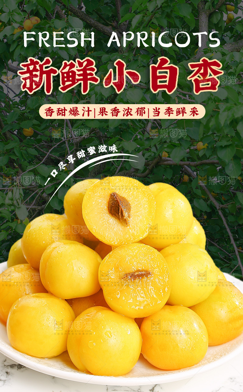 小白杏详情页