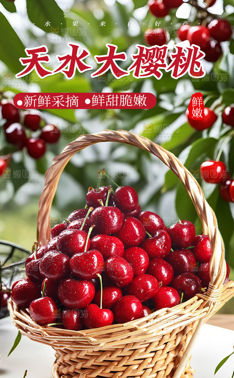 大樱桃详情页