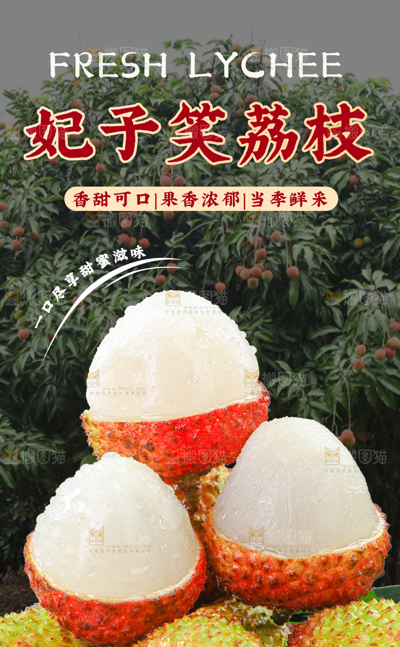 妃子笑荔枝详情页