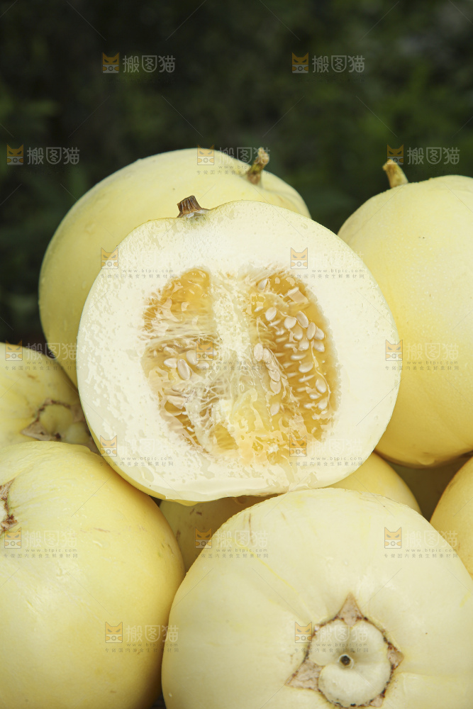 小蜜蜂甜瓜