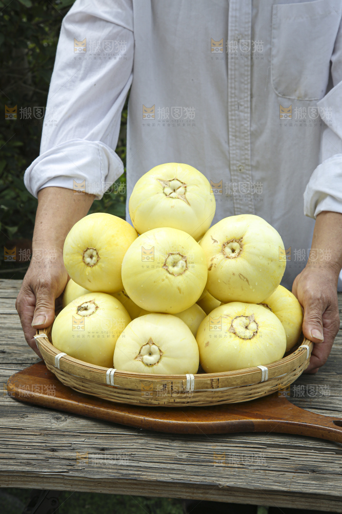 小蜜蜂甜瓜