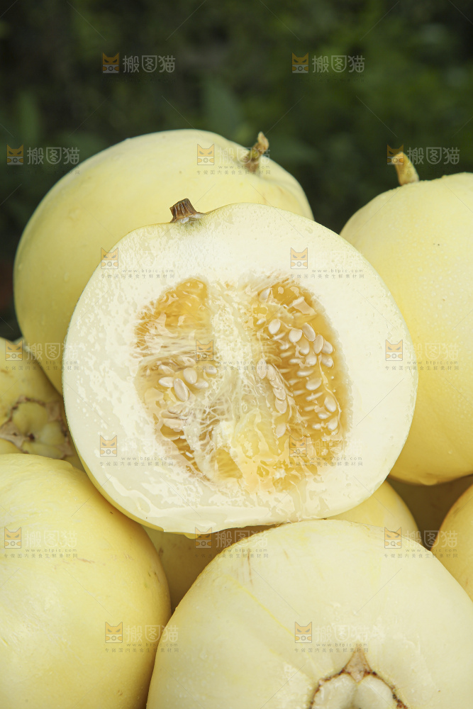 小蜜蜂甜瓜