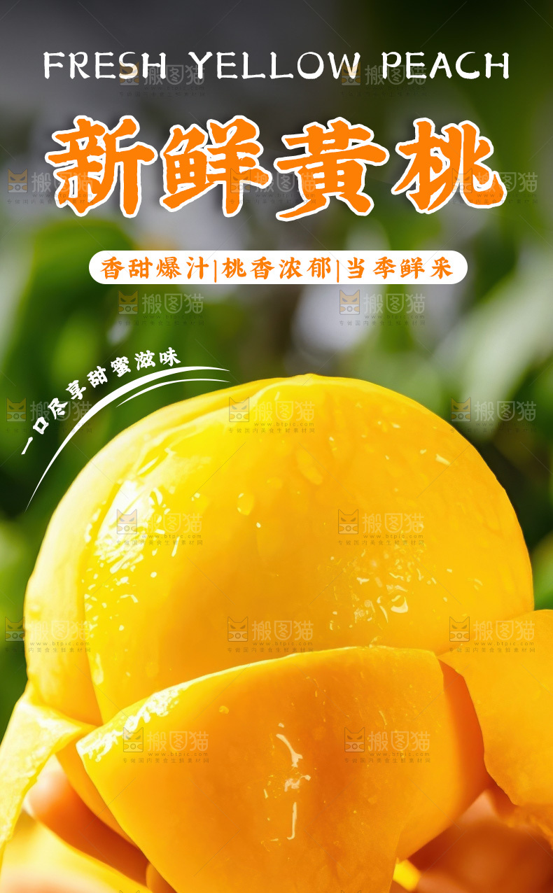 黄毛桃详情页
