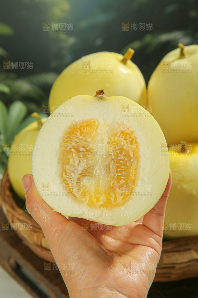 小蜜蜂甜瓜