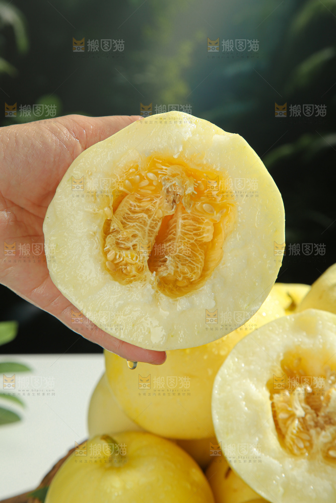 小蜜蜂甜瓜