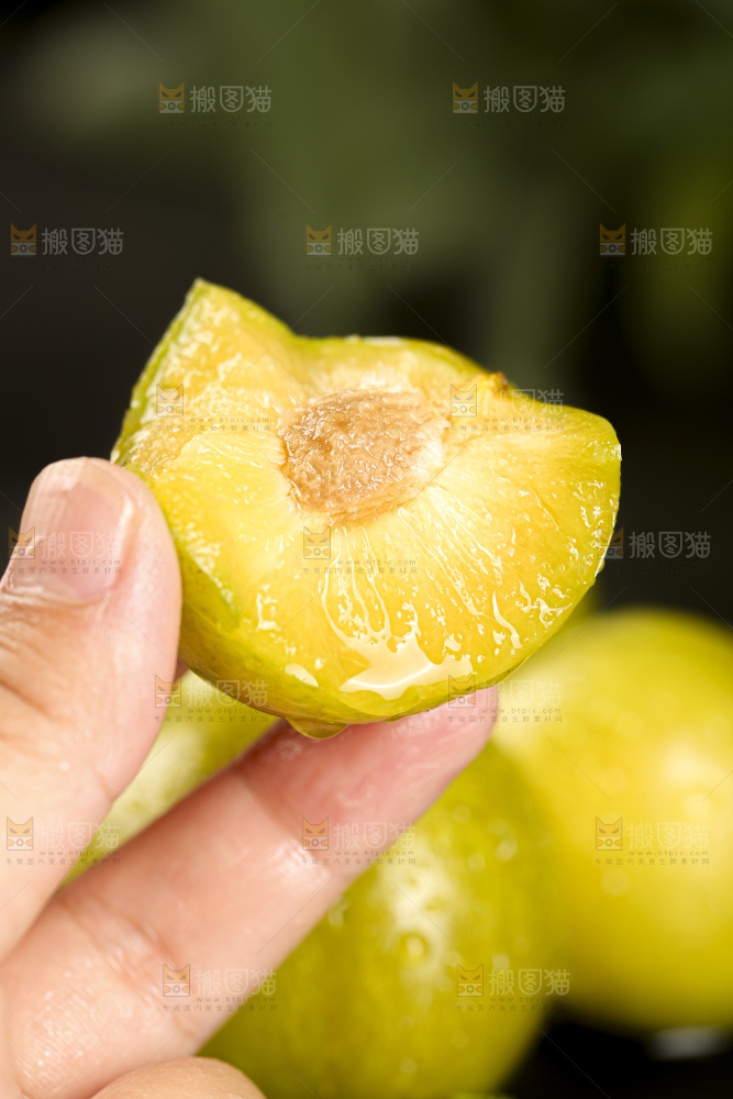 蜂糖李