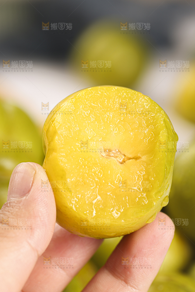 蜂糖李