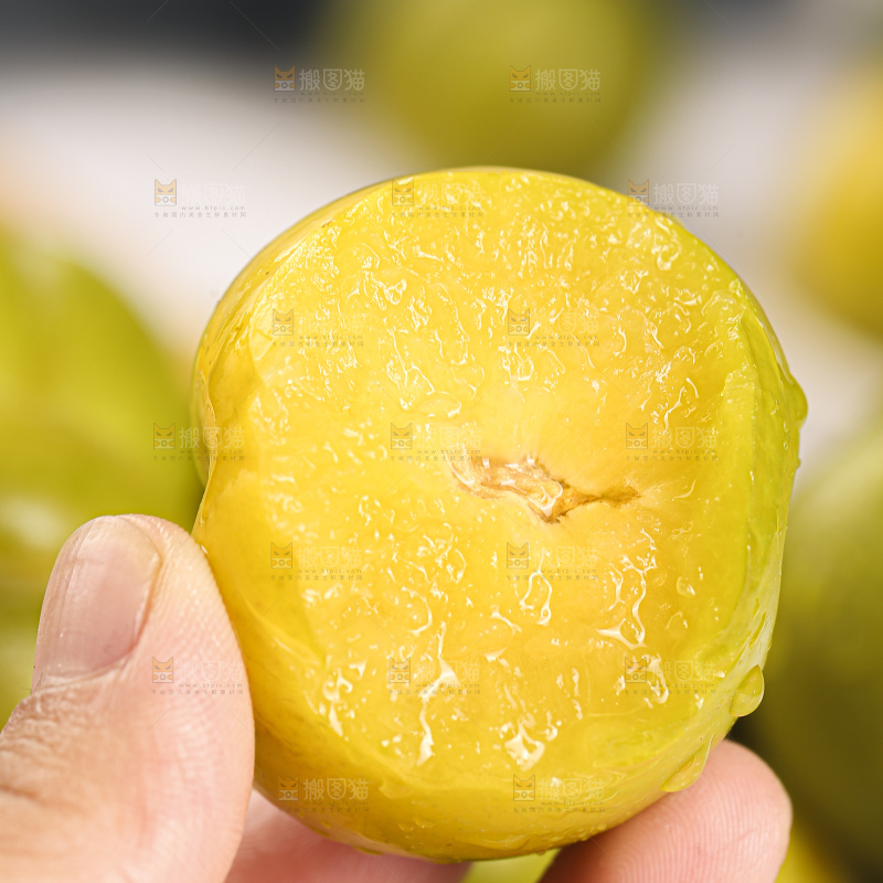 蜂糖李