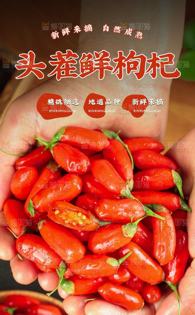 鲜枸杞详情页