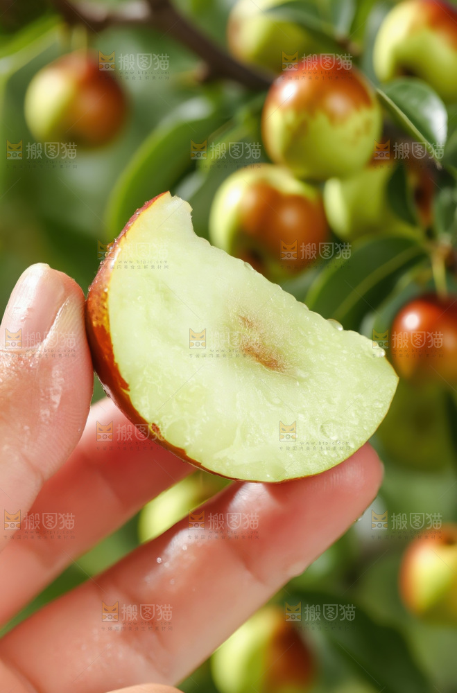 大荔冬枣
