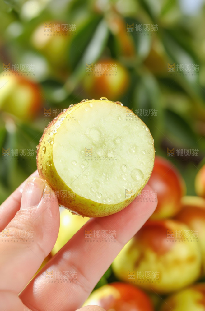 大荔冬枣