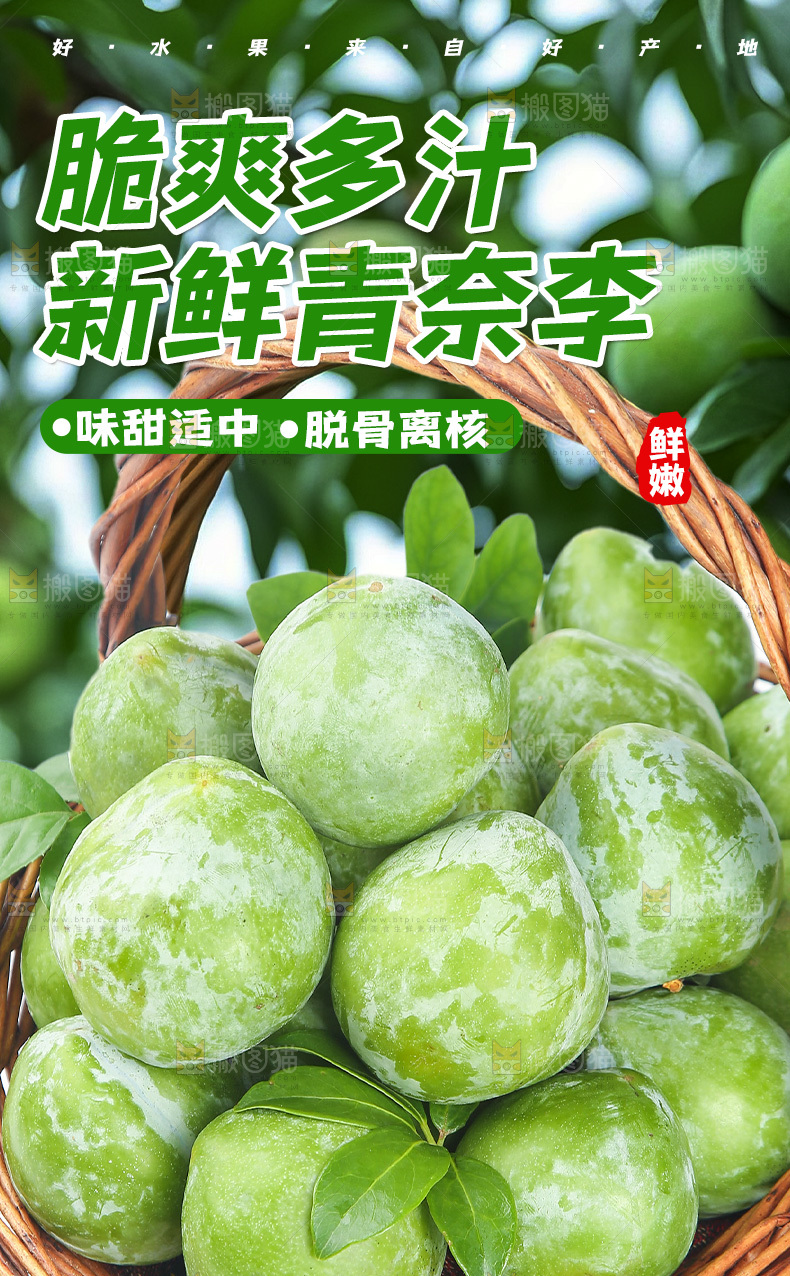 奈李详情