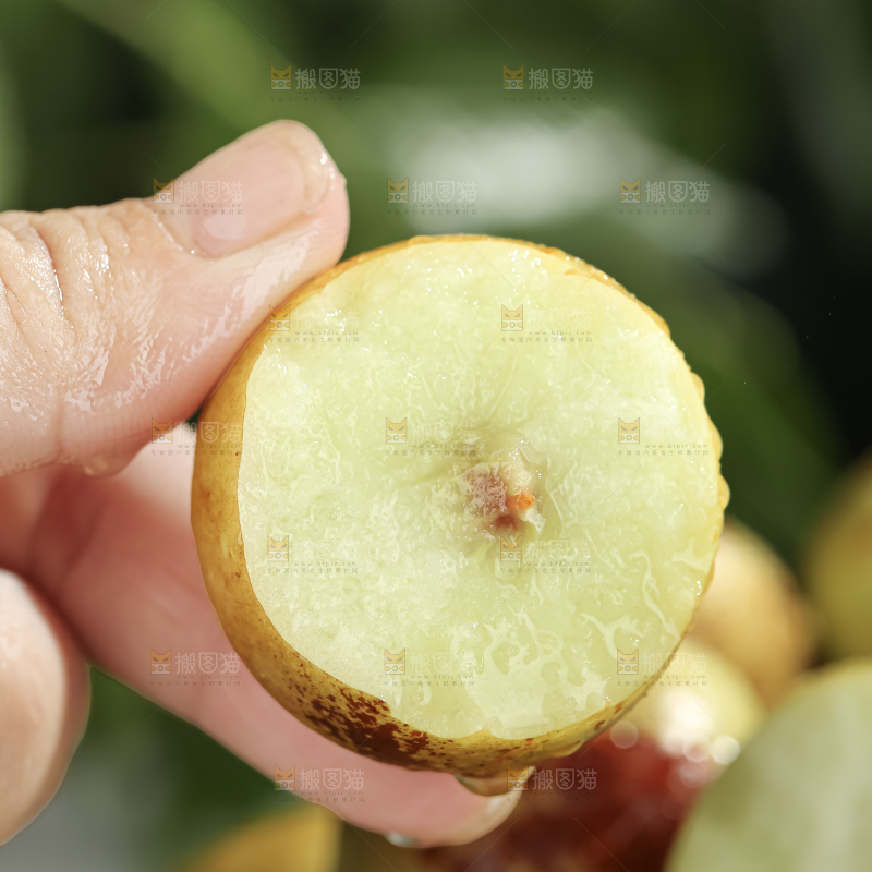大荔冬枣