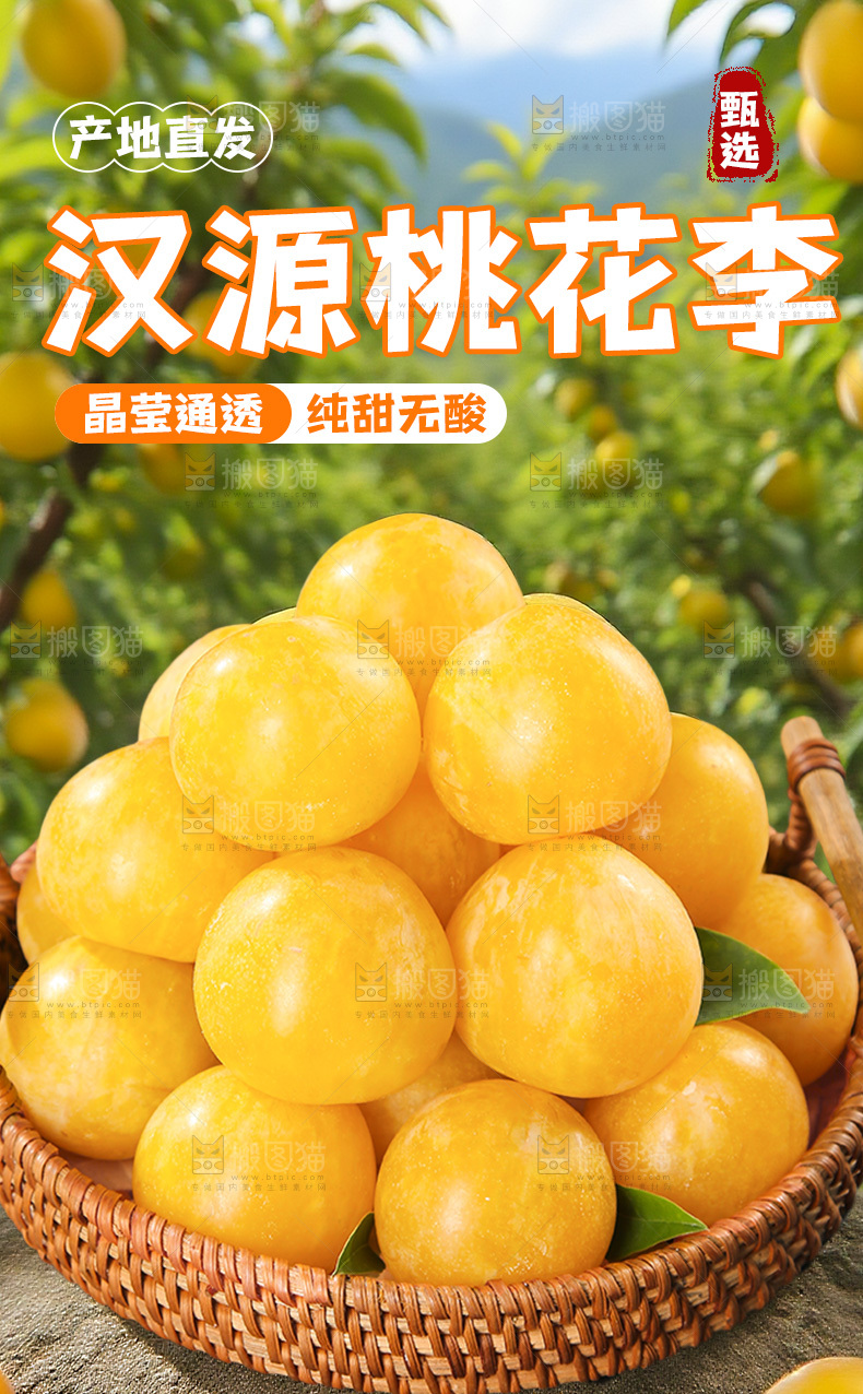 桃花李详情页