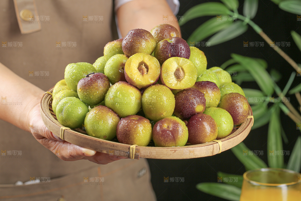 茵红脱骨李