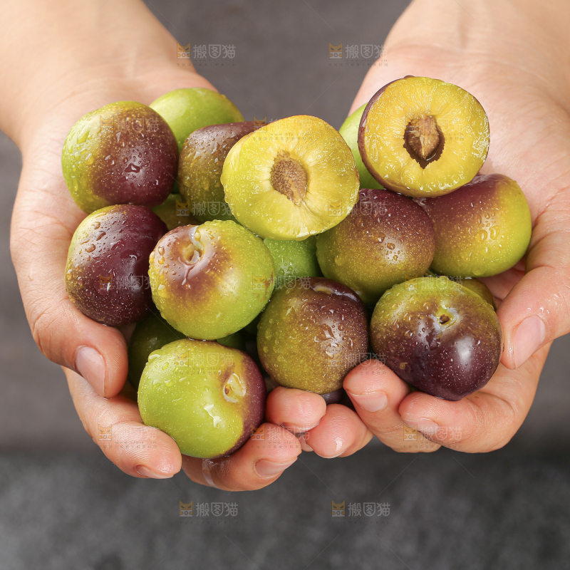 茵红脱骨李
