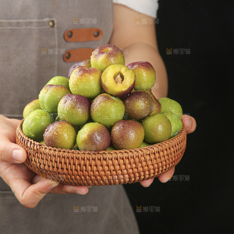 茵红脱骨李