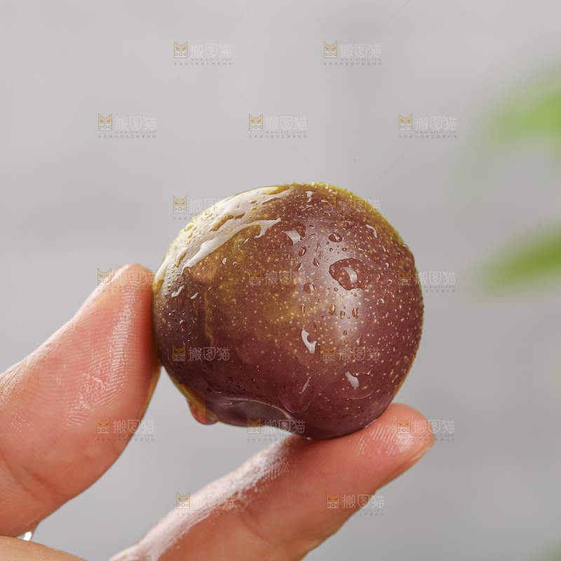 茵红脱骨李