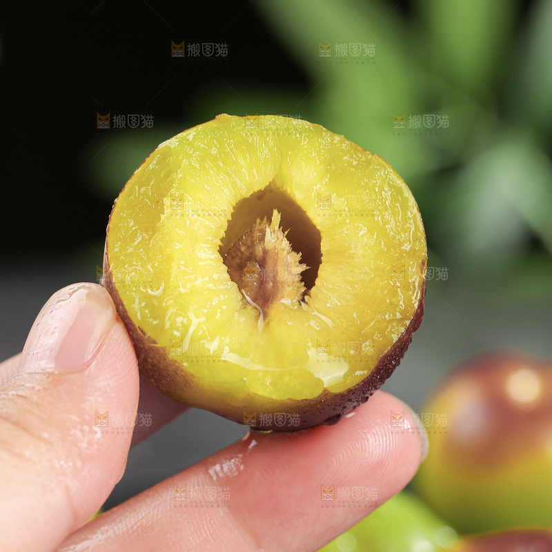 茵红脱骨李