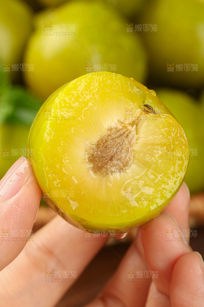 蜂糖李