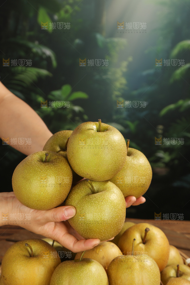 黄皮梨