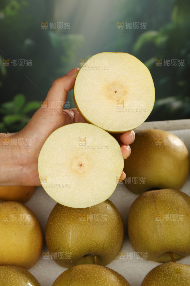 黄皮梨