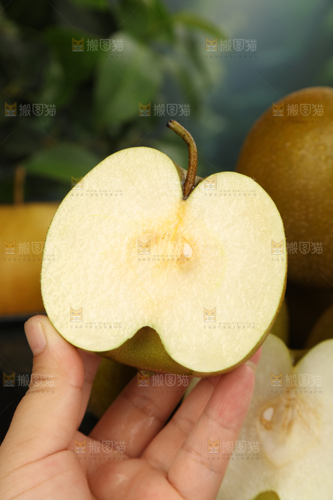 黄皮梨