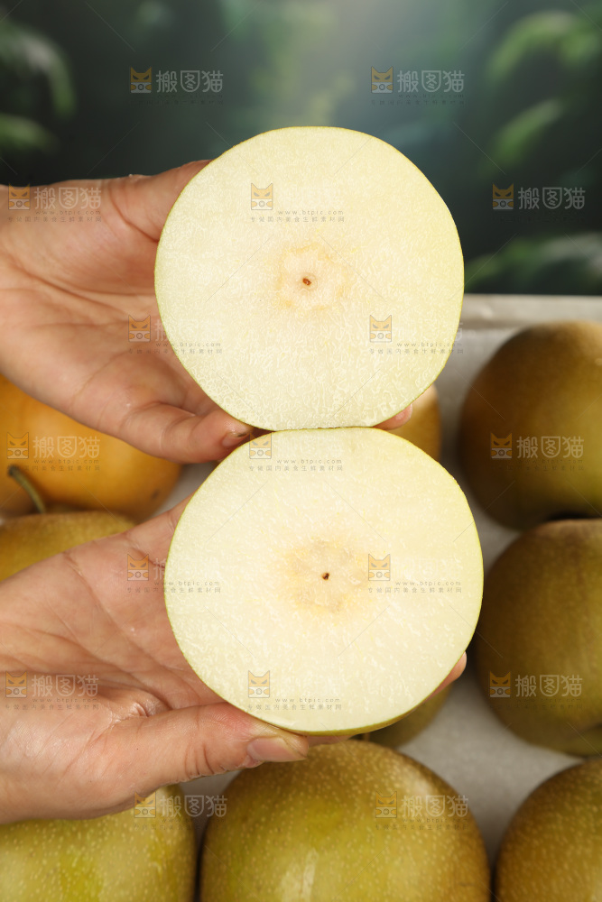 黄皮梨