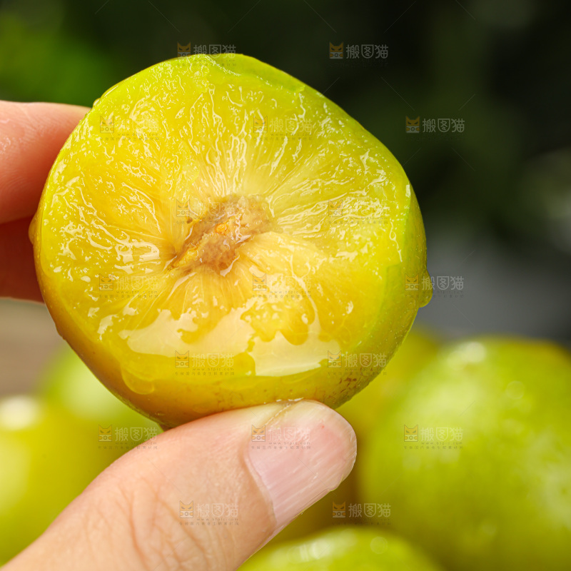 蜂糖李