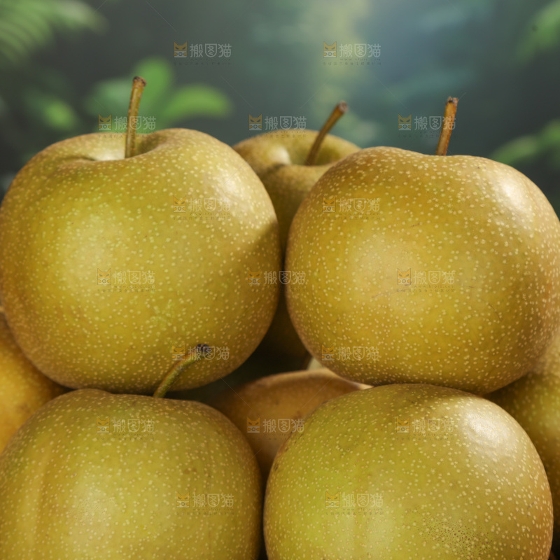 黄皮梨