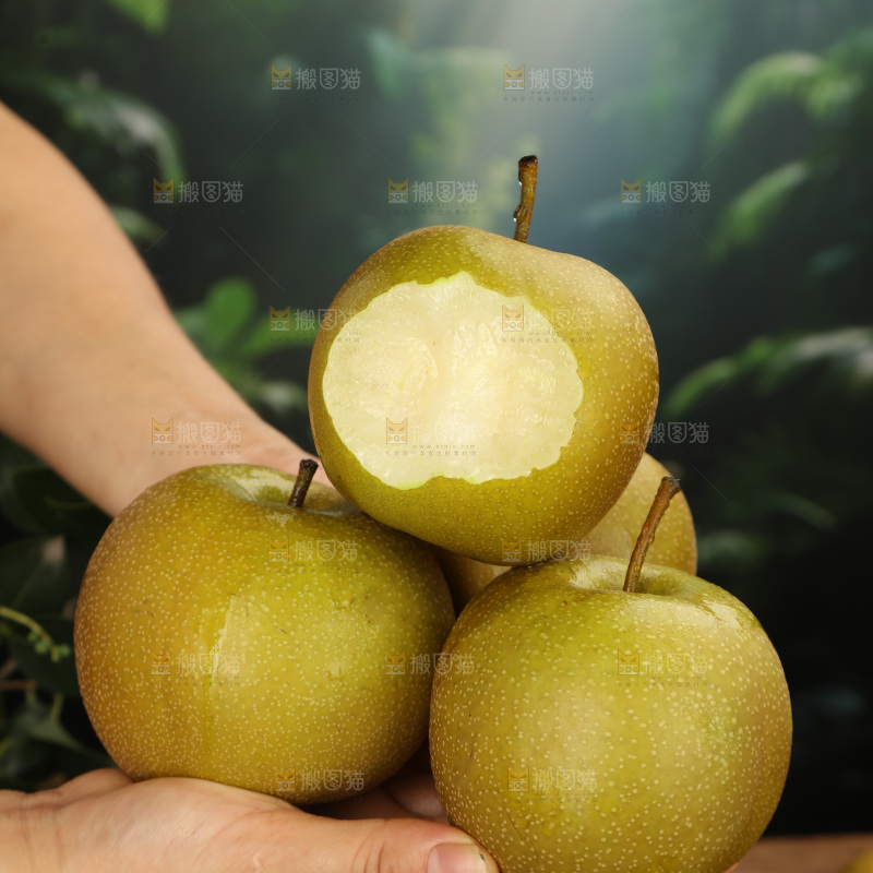 黄皮梨
