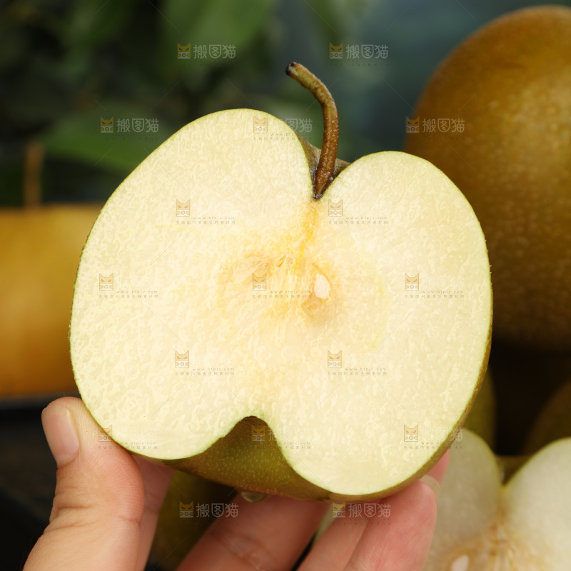 黄皮梨
