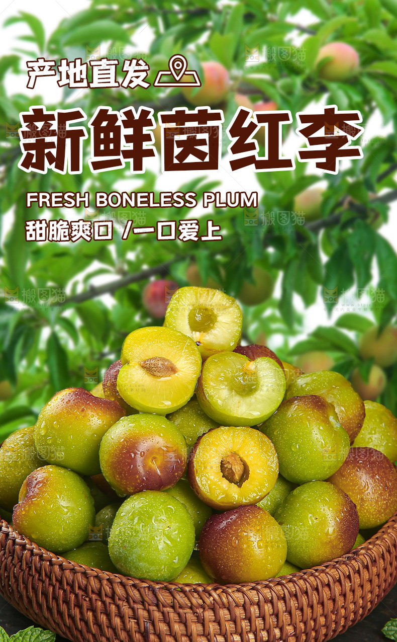 茵红李详情页