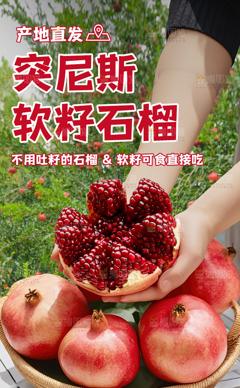 突尼斯软籽石榴详情页