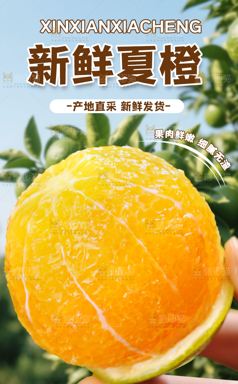夏橙详情页
