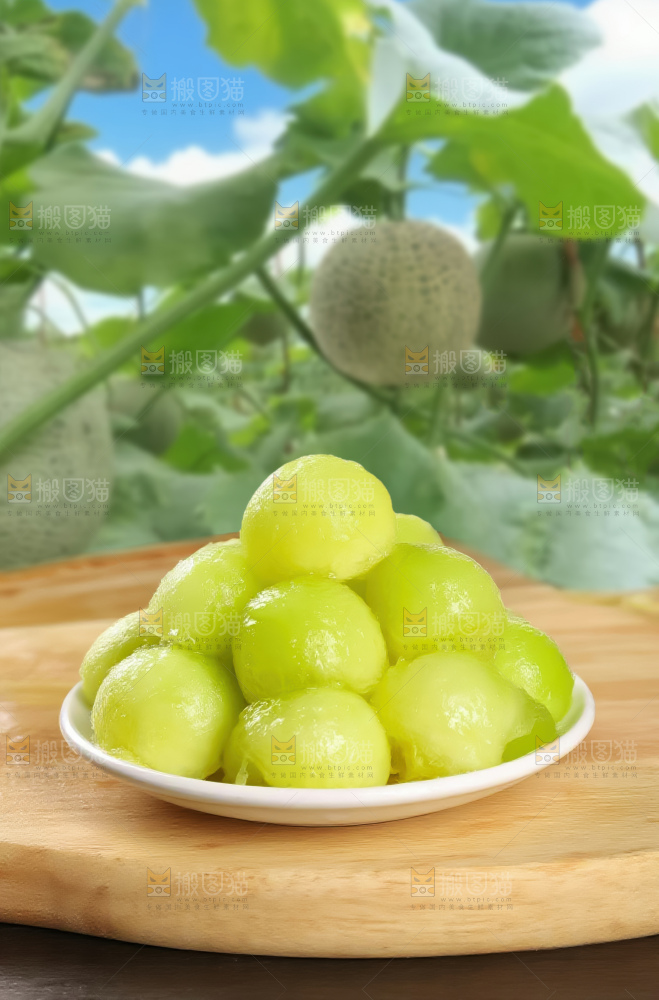 网纹蜜瓜