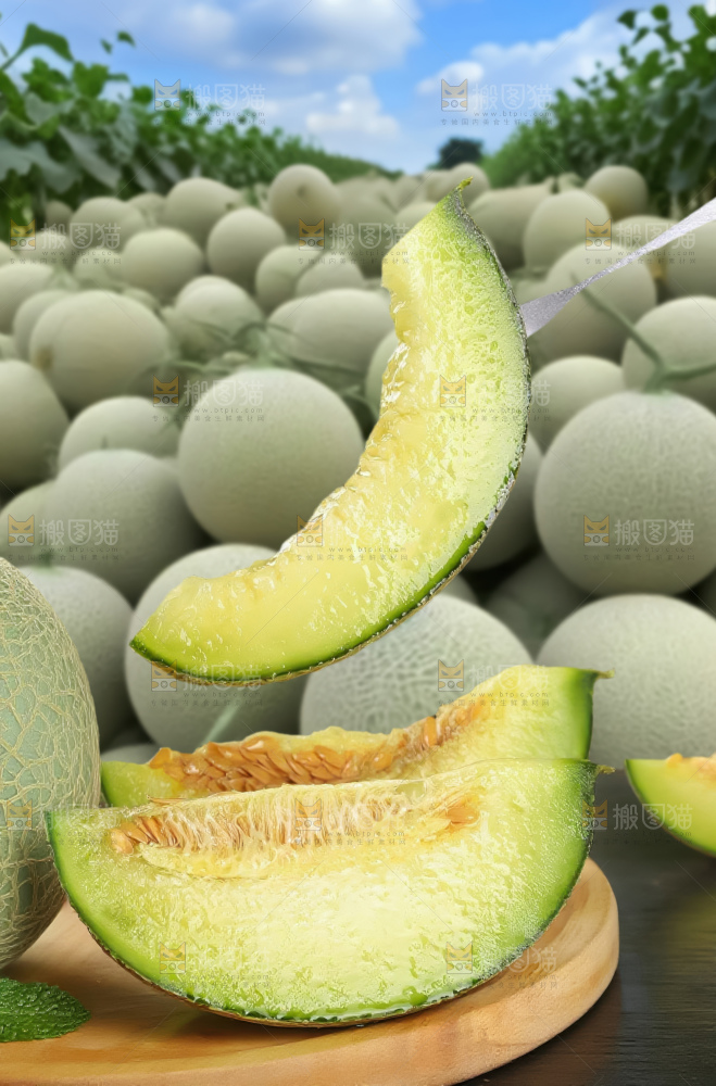 网纹蜜瓜