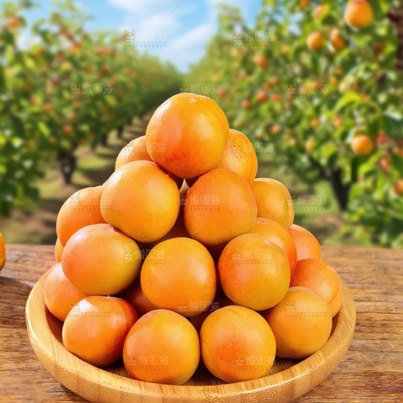 小红杏