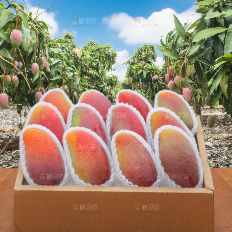 贵妃芒