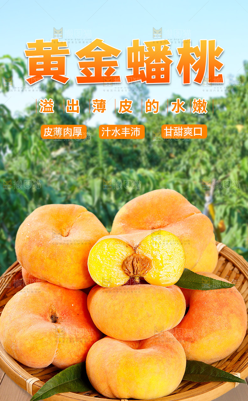 黄毛蟠桃详情页