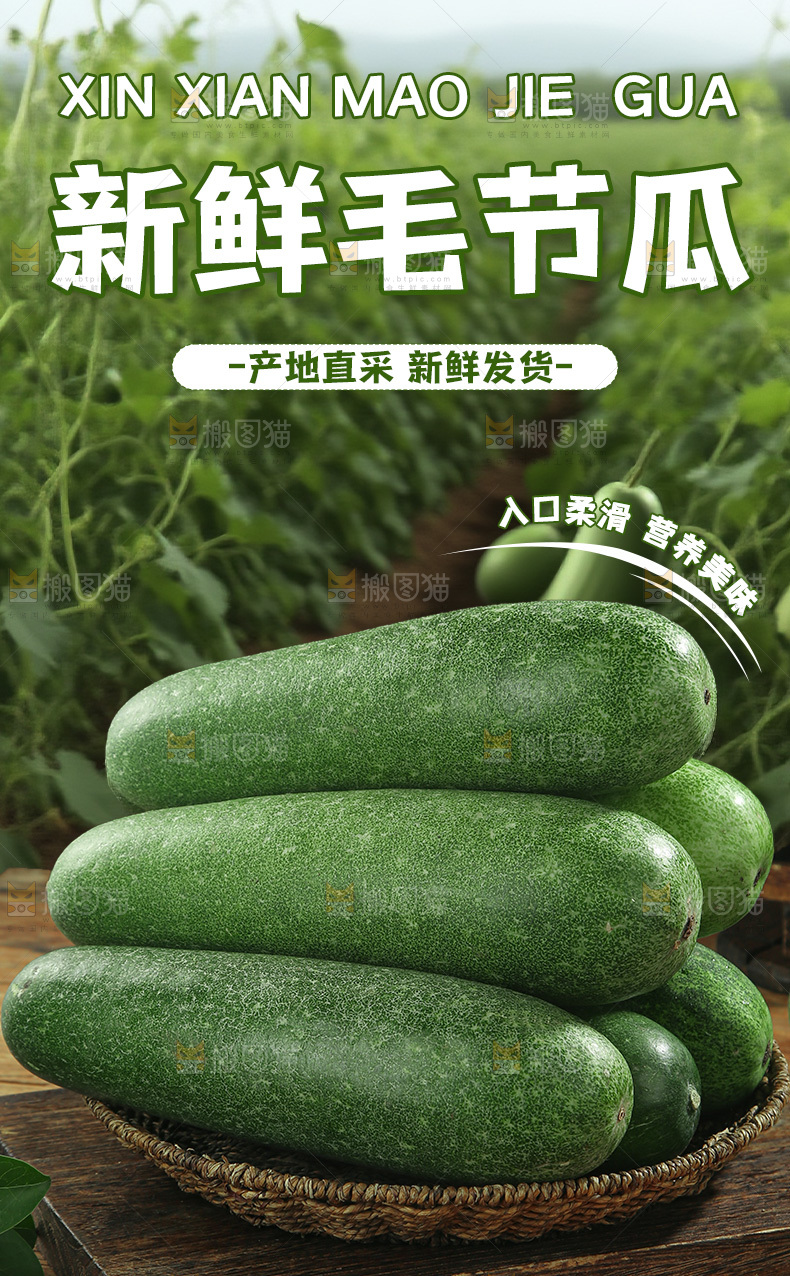 毛冬瓜详情页